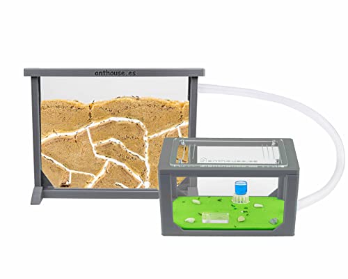 Anthouse. es - Natürlicher Ameisenhaufen aus Sand, 3D-Set (Sandwich 25 x 20 x 1,8 cm + Futterbox 20 x 12 x 12 cm), Ameisenfarm mit Ameisenkolonie inklusive, Grau von AntHouse