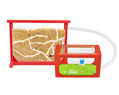 Anthouse - Natürliche Ameisenfarm aus Sand | 3D Rot Medium Set (Sandwich + Futterbox) | Inklusive Ameisenkolonie von AntHouse