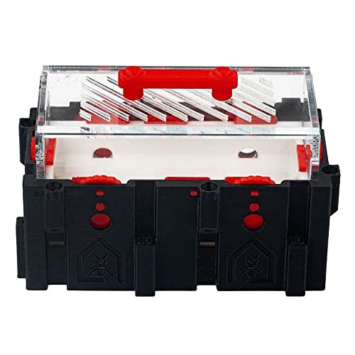 Anthouse.es – Modulare 3D-Ameisenhaufen-Futterbox – QBIK Duo Model Futterbox – 6,78 x 12,78 x 10 cm – Ameisenkolonien – Terrarium Anthouse.es – Modulare 3D-Ameisenhaufen-Futterbox – QBIK Duo Model Futterbox – 6,78 x 12,78 x 10 cm – Ameisenkolonien – Terrarium von AntHouse