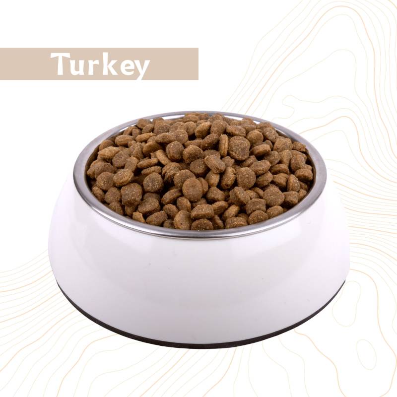 Antelope Fresh Puppy - Pute - 3 x 4 kg von Antelope