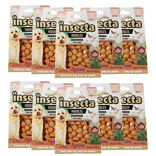 10 x 100g Insecta Nibbles Silkworm - Hundeleckerli mit Insektenprotein - Allergiker geeignet - Insekten Hund - getreidefreies Hundefutter von Antos