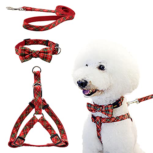 Hundegeschirr und Leine mit Halsband, verstellbar, für kleine Welpen, mittelgroße Hunde und Katzen von Anubis Bastet