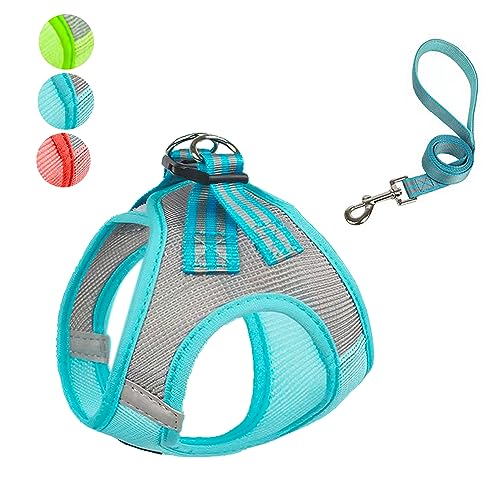 No Pull Harness,no Choke Adjustable Soft Padedd Step in Harness with Reflective,Lightweight Nylon Breathable Mesh Pet Vest for Small to Large Dogs (Blue, XS) von Anubis Bastet