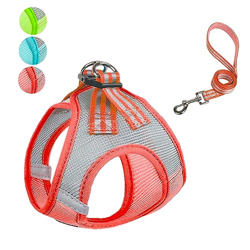 No Pull Harness,no Choke Adjustable Soft Padedd Step in Harness with Reflective,Lightweight Nylon Breathable Mesh Pet Vest for Small to Large Dogs (Red, XS) von Anubis Bastet
