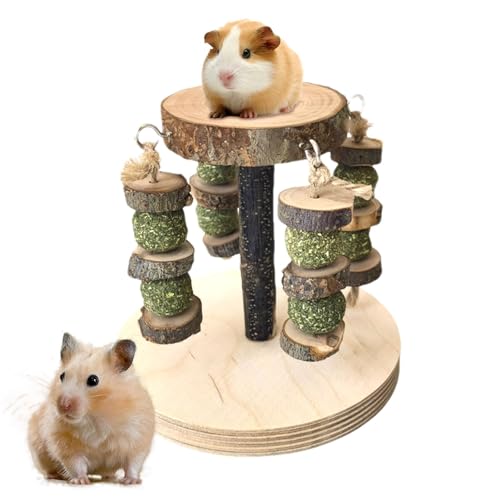 Anulely Rennmaus-Spielzeug – Kreatives Holzmäuse-Spielzeug für Meerschweinchen, multifunktionales Kauspielzeug, Leckerlis, Hamster-Anreicherungsspielzeug, Hamsterkäfig-Zubehör für kleine Tiere Anulely Rennmaus-Spielzeug – Kreatives Holzmäuse-Spielzeug für Meerschweinchen, multifunktionales Kauspielzeug, Leckerlis, Hamster-Anreicherungsspielzeug, Hamsterkäfig-Zubehör für kleine Tiere von Anulely