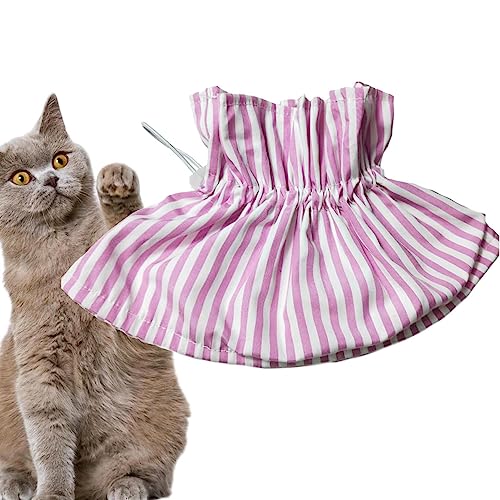 Elizabethanisches Katzenhalsband – Erholungshalsband, Polyester, weich für Katzen, verstellbarer Kordelzug, Haustierbedarf, bequemes Halsband für kleine Hunde, Kätzchen, Katzen Anulely von Anulely