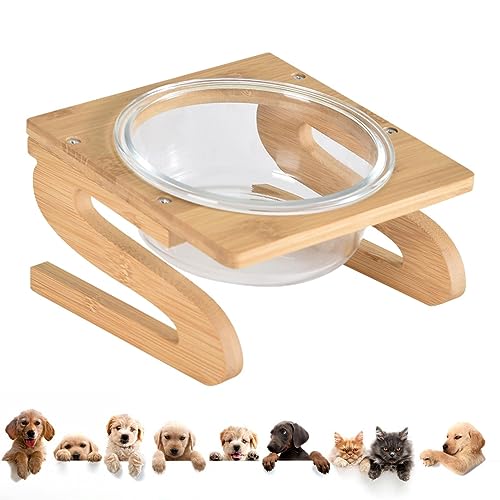 Futternapf für Hunde | Futter- und Wasserschüsseln für Haustiere, erhöht, geneigt, spritzwassergeschützt, Geschenk für Katzenfutter von Anulely