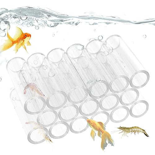 -Zuchtröhrchen, für , Acryl, transparent, für Aquarium | Aufzucht von Garnelenhöhlen für Aquarien, Aquarium, Unterschlupf aus Kristallglas für kleine von Anulely
