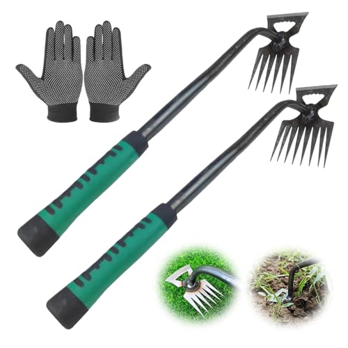 2 Pcs Gartenarbeit Hand Unkrautstecher Mit Stiel,Gartenarbeit Hand Unkrautstecher,Manueller Unkrautstecher Edelstahl,Gartenrechen Unkrautjäter,Manueller Unkrautjäter zum Entfernen von Gartenunkräutern 2 Pcs Gartenarbeit Hand Unkrautstecher Mit Stiel,Gartenarbeit Hand Unkrautstecher,Manueller Unkrautstecher Edelstahl,Gartenrechen Unkrautjäter,Manueller Unkrautjäter zum Entfernen von Gartenunkräutern von Anyingkai