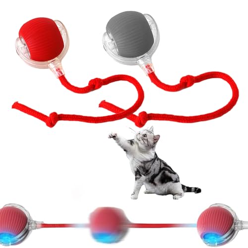 Anyingkai 2 Stück Interaktives Katzenspielzeug Katzenball mit LED Licht,Katzenspielzeug Elektrisch Katzenball,Powerball Katze Wiederaufladbares,Interaktiver Spielball für Katzen von Anyingkai