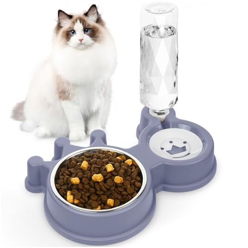 Katzennäpfe für Futter und Wasser, Violett Katzennäpfe für Futter und Wasser, Violett von Anyntuxi