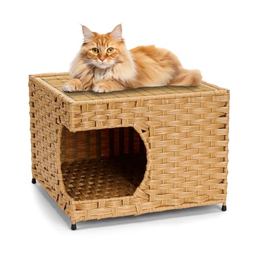 Handgewebtes Rattan-Katzenhaus für Indoor-Katzen – gemütliche Kätzchenhöhle mit doppelseitigem weichem Kissen, dekoratives Haustierbett-Möbel (Rattangelb, mittel) von Anysiny