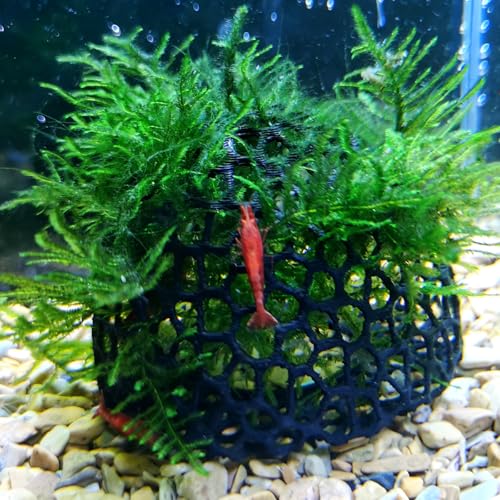 AoBeiWorld Dekorative Unterschlupfkuppeln, Aquarium-Versteck für kleine Fische und Garnelen zum Zuchten, Spielen und Ausruhen, sicher und ungiftig, 3D-gedruckte Aquarium-Dekorationen (schwarz) von AoBeiWorld