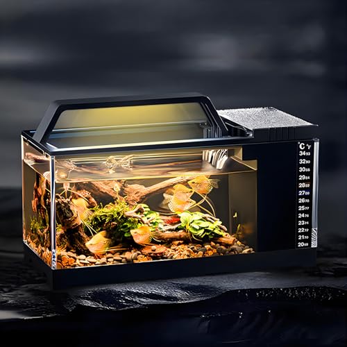 AoBeiWorld Kleines Aquarium mit Filter, selbstreinigendes Betta-Fischtank, 3,5 l, ideal für Starter-Fischtank-Sets AoBeiWorld Kleines Aquarium mit Filter, selbstreinigendes Betta-Fischtank, 3,5 l, ideal für Starter-Fischtank-Sets von AoBeiWorld
