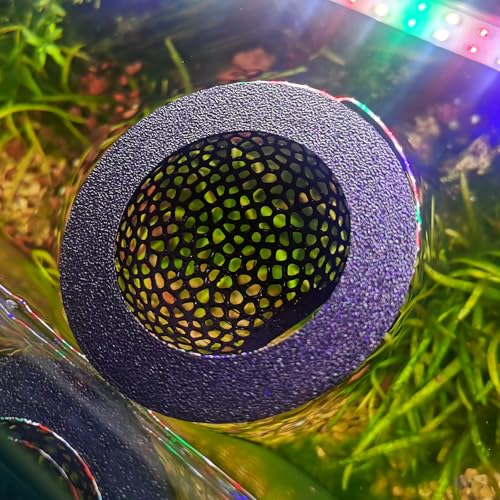 Betta Aquarium-Zubehör, Aquarium-Hängematte, schwimmendes Betta-Versteck, Betta-Futterring, schwimmende Aquarium-Dekorationen (schwarz) von AoBeiWorld
