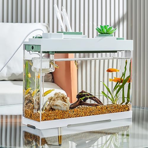 Tisch-Aquarium, extrem schmal, 9 l, High-Definition-Acryl-Fischtank mit leisem Pump-Filtrationssystem und LED-Lichtern (grün) von AoBeiWorld