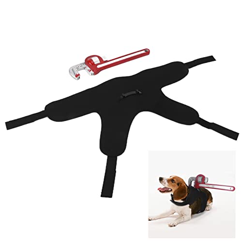 Aoaoy Lustige Süße Kostüm -Kleider -Kleidung Halloween Cosplay Kleidung für Hund, Halloween Kostüm, Hund (L) von Aoaoy