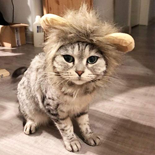 Aoaoy Verstellbare Weiche Plüsch -Haustier -Mähne Perücke für Katze, Komfortabel, Leicht zu Tragen, für Halloween Maskerade Party, Tolles Katzen, Kleine Hunde. Ideal das Weihnachts Osterfest Aoaoy Verstellbare Weiche Plüsch -Haustier -Mähne Perücke für Katze, Komfortabel, Leicht zu Tragen, für Halloween Maskerade Party, Tolles Katzen, Kleine Hunde. Ideal das Weihnachts Osterfest von Aoaoy