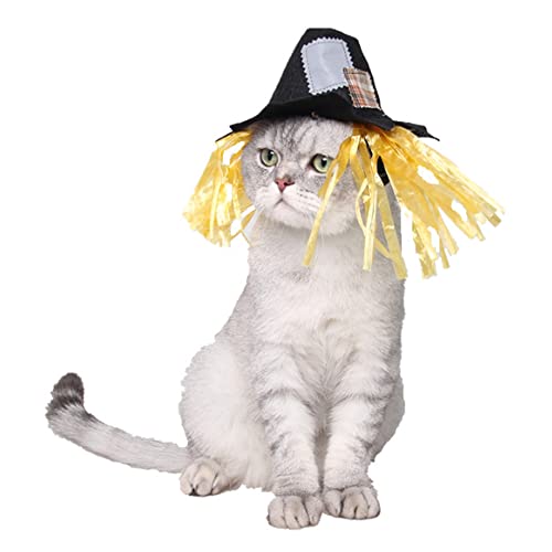 Aoaoy Vogelscheuche Hunde Katzen Kostümhut Haustier Kostüm Halloween Katze Haustier Kopfwege Kreative Halloween Holiday Scarecrow Hat Dress Up Cosplay Kostüm Aoaoy Vogelscheuche Hunde Katzen Kostümhut Haustier Kostüm Halloween Katze Haustier Kopfwege Kreative Halloween Holiday Scarecrow Hat Dress Up Cosplay Kostüm von Aoaoy