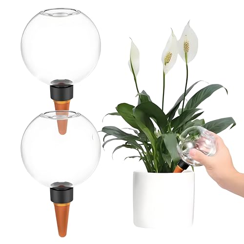 Aodejoy Bewässerungskugeln,Automatische Pflanzenbewässerung,Selbstbewässerung Bewässerungskugel,Wasserspender Pflanzen zur Automatischen Bewässerung von Zimmer Balkon und Gartenpflanzen (2 Stück) Aodejoy Bewässerungskugeln,Automatische Pflanzenbewässerung,Selbstbewässerung Bewässerungskugel,Wasserspender Pflanzen zur Automatischen Bewässerung von Zimmer Balkon und Gartenpflanzen (2 Stück) von Aodejoy