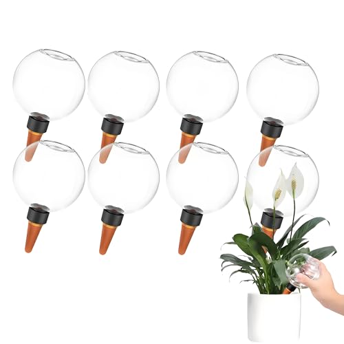 Aodejoy 8 Stück Wasserspender Pflanzen,Bewässerungskugeln,Automatische Pflanzenbewässerung,Selbstbewässerung Bewässerungskugel groß,Pflanzen Bewässerung von Zimmer Balkon und Gartenpflanzen Aodejoy 8 Stück Wasserspender Pflanzen,Bewässerungskugeln,Automatische Pflanzenbewässerung,Selbstbewässerung Bewässerungskugel groß,Pflanzen Bewässerung von Zimmer Balkon und Gartenpflanzen von Aodejoy