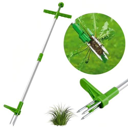 Unkrautstecher mit Stiel,Stehen Unkrautentferner 1m,Löwenzahnstecher,mit Drei-Kiefer und Edelstahl-Pedal für effizientes Entfernen von Unkraut,Gartenwerkzeug,Unkraut Entferner Gerät ohne Bücke (Grün) Unkrautstecher mit Stiel,Stehen Unkrautentferner 1m,Löwenzahnstecher,mit Drei-Kiefer und Edelstahl-Pedal für effizientes Entfernen von Unkraut,Gartenwerkzeug,Unkraut Entferner Gerät ohne Bücke (Grün) von Aodejoy
