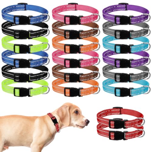 20 Stück Welpenhalsbänder für Katzenstreu, reflektierende Welpenhalsbänder, verstellbare Welpenhalsbänder, weiches Nylon, für Neugeborene, Streu, Welpen, Haustiere, reflektierend, Größe S 20 Stück Welpenhalsbänder für Katzenstreu, reflektierende Welpenhalsbänder, verstellbare Welpenhalsbänder, weiches Nylon, für Neugeborene, Streu, Welpen, Haustiere, reflektierend, Größe S von AojSup