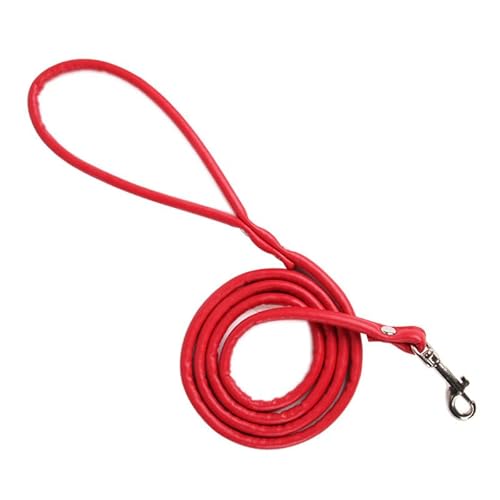Katzenleine aus PU-Leder, 1 x 120 cm, Rot von Aoktorkit