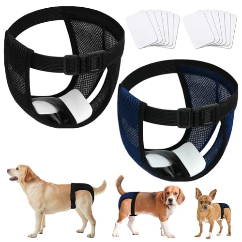 Aomig 2er Hundewindeln Wiederverwendbare Läufigkeitshose Hündinnen, Hunde Waschbare Schutzhöschen mit 6 Hygienepad Damenbinde Verstellbare Schutzhose für Hündinnen Waschbare Schutzhose Läufigkeit(XL) Aomig 2er Hundewindeln Wiederverwendbare Läufigkeitshose Hündinnen, Hunde Waschbare Schutzhöschen mit 6 Hygienepad Damenbinde Verstellbare Schutzhose für Hündinnen Waschbare Schutzhose Läufigkeit(XL) von Aomig