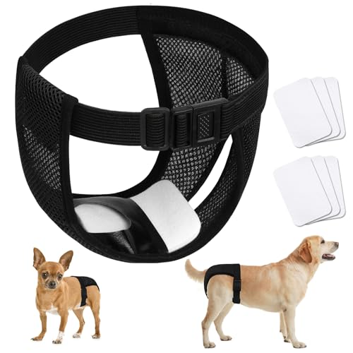 Aomig Hundewindeln Wiederverwendbare Läufigkeitshose für Hündinnen, Hunde Läufigkeit Waschbare Schutzhöschen mit 6 Hygienepad Damenbinde Verstellbare Schutzhose für Hündinnen Waschbare Schutzhose(XL) Aomig Hundewindeln Wiederverwendbare Läufigkeitshose für Hündinnen, Hunde Läufigkeit Waschbare Schutzhöschen mit 6 Hygienepad Damenbinde Verstellbare Schutzhose für Hündinnen Waschbare Schutzhose(XL) von Aomig