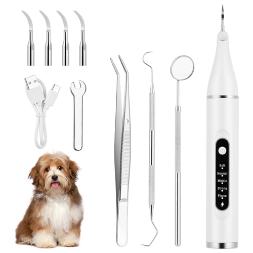 Aomig Zahnreiniger für Haustiere 10Pcs Zahnsteinentferner Ultraschall Zahnreiniger Hund Katze mit 5 Reinigungsmodi 4 Reinigungsköpfe und LED Zahnreinigung Hund Gegen Plaque Zahnstein schlechten Atem von Aomig