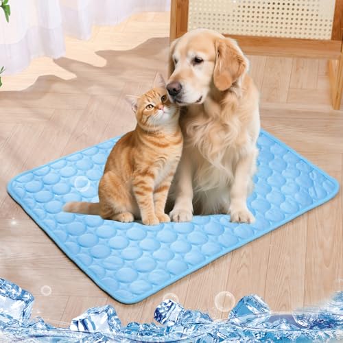 Erfrisch-Endes Kühlmatte Hund - 2025 Erfrisch Endes Hundematte, Kühlmatte Katze, Kühlmatte Für Hunde, Kühlbett Aus Eisseide, Kühlbett Für Kleine & Große Hunde, Faltbar & Waschbar (Blau, 150x100cm) Erfrisch-Endes Kühlmatte Hund - 2025 Erfrisch Endes Hundematte, Kühlmatte Katze, Kühlmatte Für Hunde, Kühlbett Aus Eisseide, Kühlbett Für Kleine & Große Hunde, Faltbar & Waschbar (Blau, 150x100cm) von Aoosecx