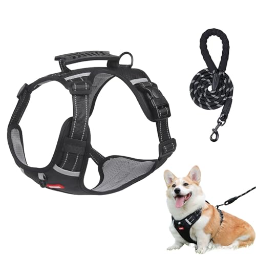 Chewie Gemütliches Geschirr, verstellbares Hundegeschirr mit Leine, reflektierend, Netzgewebe, atmungsaktiv mit elastischem Gummizug, atmungsaktive Hundeweste für kleine, mittelgroße und große Hunde Chewie Gemütliches Geschirr, verstellbares Hundegeschirr mit Leine, reflektierend, Netzgewebe, atmungsaktiv mit elastischem Gummizug, atmungsaktive Hundeweste für kleine, mittelgroße und große Hunde von Aosrioylt