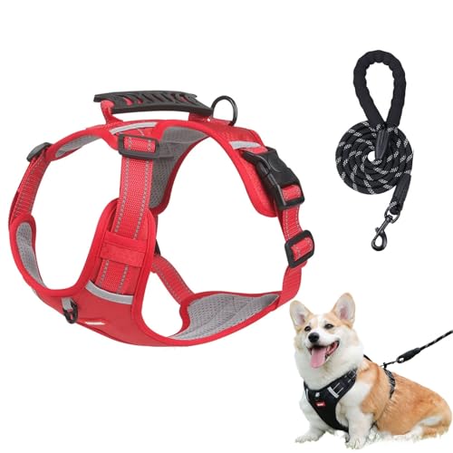 Chewie Gemütliches Geschirr, verstellbares Hundegeschirr mit Leine, reflektierend, Netzgewebe, atmungsaktiv mit elastischem Gummizug, atmungsaktive Hundeweste für kleine, mittelgroße und große Hunde Chewie Gemütliches Geschirr, verstellbares Hundegeschirr mit Leine, reflektierend, Netzgewebe, atmungsaktiv mit elastischem Gummizug, atmungsaktive Hundeweste für kleine, mittelgroße und große Hunde von Aosrioylt