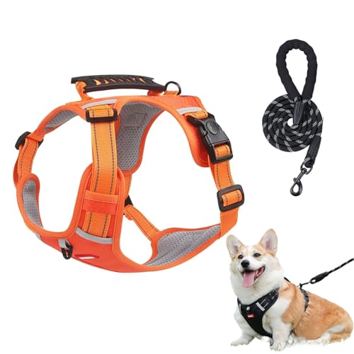 Chewie Gemütliches Geschirr, verstellbares Hundegeschirr mit Leine, reflektierendes Hundegeschirr, Netzgewebe, atmungsaktiv mit elastischem Gummizug, atmungsaktive Hundeweste für kleine, mittelgroße Chewie Gemütliches Geschirr, verstellbares Hundegeschirr mit Leine, reflektierendes Hundegeschirr, Netzgewebe, atmungsaktiv mit elastischem Gummizug, atmungsaktive Hundeweste für kleine, mittelgroße von Aosrioylt