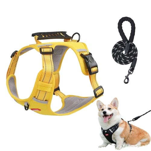 Chewie Gemütliches Geschirr, verstellbares Hundegeschirr mit Leine, reflektierendes Hundegeschirr, Netzgewebe, atmungsaktiv mit elastischem Gummizug, atmungsaktive Hundeweste für kleine, mittelgroße Chewie Gemütliches Geschirr, verstellbares Hundegeschirr mit Leine, reflektierendes Hundegeschirr, Netzgewebe, atmungsaktiv mit elastischem Gummizug, atmungsaktive Hundeweste für kleine, mittelgroße von Aosrioylt