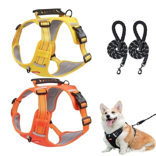Chewie Gemütliches Hundegeschirr, verstellbares Hundegeschirr mit Leine, reflektierend, Netzgewebe, atmungsaktiv mit elastischem Gummizug, atmungsaktive Hundeweste für kleine, mittelgroße und große Chewie Gemütliches Hundegeschirr, verstellbares Hundegeschirr mit Leine, reflektierend, Netzgewebe, atmungsaktiv mit elastischem Gummizug, atmungsaktive Hundeweste für kleine, mittelgroße und große von Aosrioylt