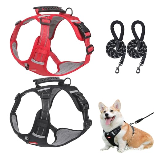 Chewie Gemütliches Hundegeschirr, verstellbares Hundegeschirr mit Leine, reflektierend, Netzgewebe, atmungsaktiv mit elastischem Gummizug, atmungsaktive Hundeweste für kleine, mittelgroße und große Chewie Gemütliches Hundegeschirr, verstellbares Hundegeschirr mit Leine, reflektierend, Netzgewebe, atmungsaktiv mit elastischem Gummizug, atmungsaktive Hundeweste für kleine, mittelgroße und große von Aosrioylt