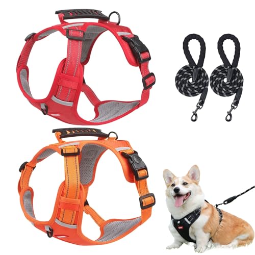 Chewie Gemütliches Hundegeschirr, verstellbares Hundegeschirr mit Leine, reflektierendes Hundegeschirr, Netzgewebe, atmungsaktiv mit elastischem Gummizug, atmungsaktive Hundeweste für kleine Chewie Gemütliches Hundegeschirr, verstellbares Hundegeschirr mit Leine, reflektierendes Hundegeschirr, Netzgewebe, atmungsaktiv mit elastischem Gummizug, atmungsaktive Hundeweste für kleine von Aosrioylt