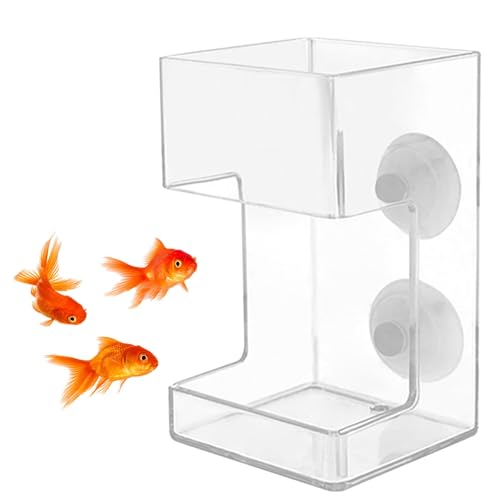 Fischfutterspender, Acryl-Fischfutterring, Fischfutterrohr for Aquarium, Aquarium-Futterspender for Garnelenbecken, Goldener Fisch, Betta-Fisch, Saugnapf, Fischfutterspender, schwimmendes Futtertablet Fischfutterspender, Acryl-Fischfutterring, Fischfutterrohr for Aquarium, Aquarium-Futterspender for Garnelenbecken, Goldener Fisch, Betta-Fisch, Saugnapf, Fischfutterspender, schwimmendes Futtertablet von Aosrioylt