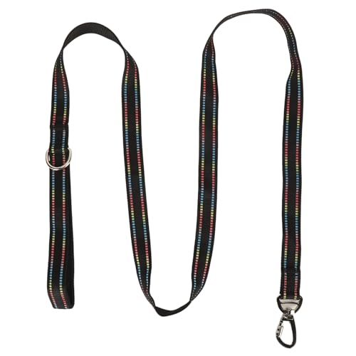 Aoveew Pet -Leinen Fluoreszenzhund -Leine für Hundetraining Wanderhund -Traktionsseil mit sicherem Verriegelungsmechanismus Aoveew Pet -Leinen Fluoreszenzhund -Leine für Hundetraining Wanderhund -Traktionsseil mit sicherem Verriegelungsmechanismus von Aoveew