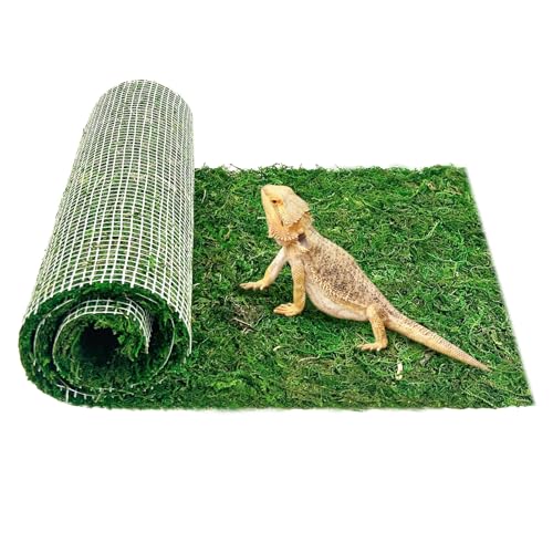 Apatal Reptilien-Substratmatte (30,5 x 180,3 cm) von Apatal