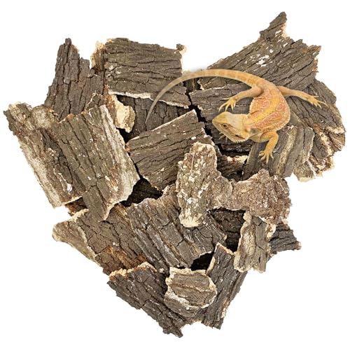 Apatal Reptilienkorkenrinde, 0,5 kg, flaches Korkholz für Terrarium, kleine Baumrinde, Stücke, 9,9–15 cm, natürliche Massenkork, Einsiedlerkrebse, für Bartagamen, Schlangen, Spinnen, Geckos, Apatal Reptilienkorkenrinde, 0,5 kg, flaches Korkholz für Terrarium, kleine Baumrinde, Stücke, 9,9–15 cm, natürliche Massenkork, Einsiedlerkrebse, für Bartagamen, Schlangen, Spinnen, Geckos, von Apatal