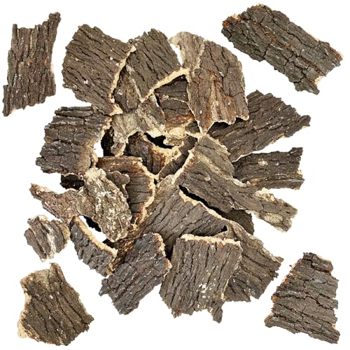 Apatal Reptilienkorkenrinde, 0,7 kg, flaches Korkholz für Terrarien, kleine Baumrinde, Stücke, 9,9–15 cm, natürliche Massenkork, Bettwäsche, Tanksubstrat für Bartagamen, Schlangen, Spinnen, Geckos, Apatal Reptilienkorkenrinde, 0,7 kg, flaches Korkholz für Terrarien, kleine Baumrinde, Stücke, 9,9–15 cm, natürliche Massenkork, Bettwäsche, Tanksubstrat für Bartagamen, Schlangen, Spinnen, Geckos, von Apatal