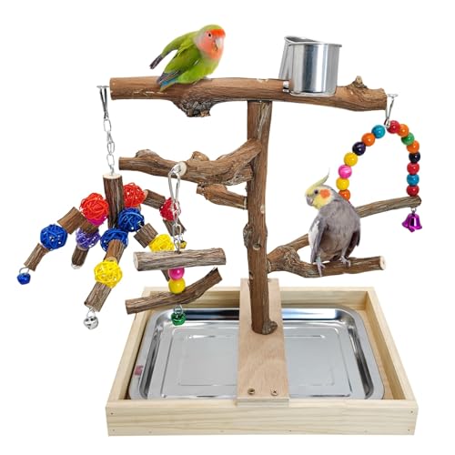 Apatal Tragbare Vogel-Sitzstange mit großem Töpfchentablett, Naturholz, Tischtrainings-Fitnessstudio mit Kauspielzeug & Hängeschaukel Papageien-Spielplatz, Spielzeug für Sittiche, Nymphensittiche von Apatal
