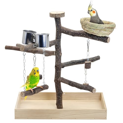 Apatal Vogel-Spielplatz aus Naturholz für Training und Spielen, Papageien-Sitzstange, Dschungel-Fitnessstudio mit Vogelnest und Edelstahl-Futterschalen, Sittichkäfig, Spielständer für Wellensittiche Apatal Vogel-Spielplatz aus Naturholz für Training und Spielen, Papageien-Sitzstange, Dschungel-Fitnessstudio mit Vogelnest und Edelstahl-Futterschalen, Sittichkäfig, Spielständer für Wellensittiche von Apatal