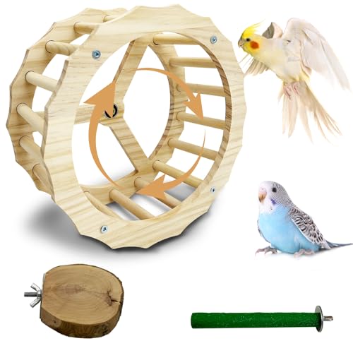 Apatal Vogelsitz-Spielzeug Apatal Vogelsitz-Spielzeug von Apatal