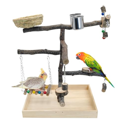 Apatal Vogelspielplatz für Training und Spielen, Naturholz, Papageien-Sitzstange, Dschungel-Fitnessstudio, Kauspielzeug mit hängender Leiter und Edelstahl-Futterstation, Sittichkäfig, Spielständer für von Apatal