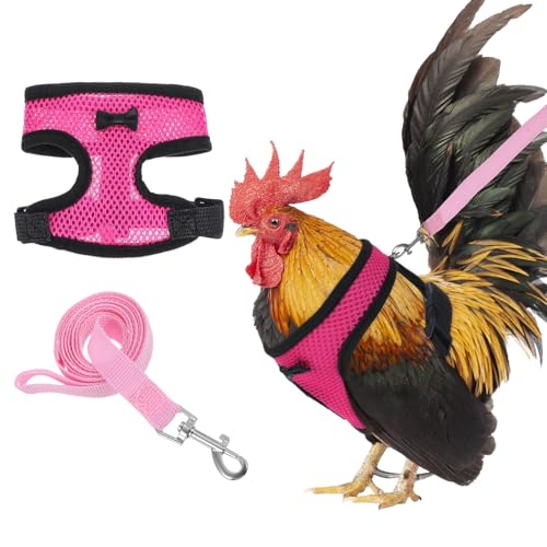 1 Hühner Geschirr mit Leine Verstellbares Hühnergeschirr Atmungsaktives Hühner Trainingsgeschirr zum Trainieren und Spazierengehen mit Hühnern, Enten, Gänsen und Kleinen Haustieren (Pink, S) von Aphumedc
