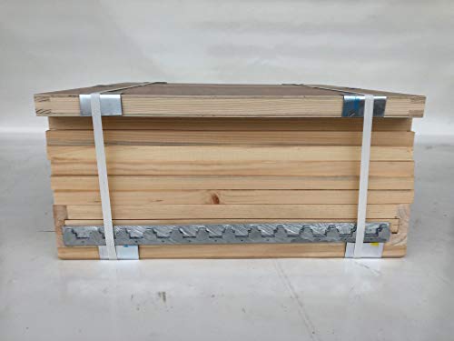 Dadant US 12er Beute als Bausatz, Trennschied, Weymouthskiefer von Apisfarm Weymouth-Kiefer